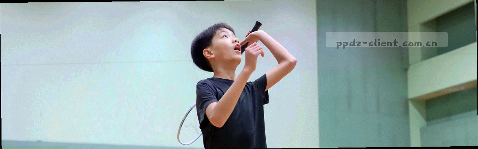水平延伸的归档标签带，深浅紫青交替排列